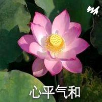 🍁顺其自然🍁