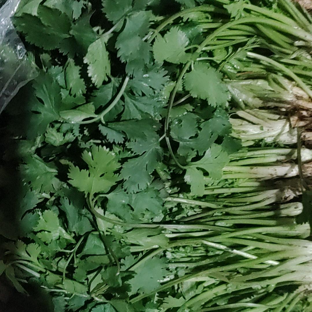 康县眼镜蔬菜水果特价超市