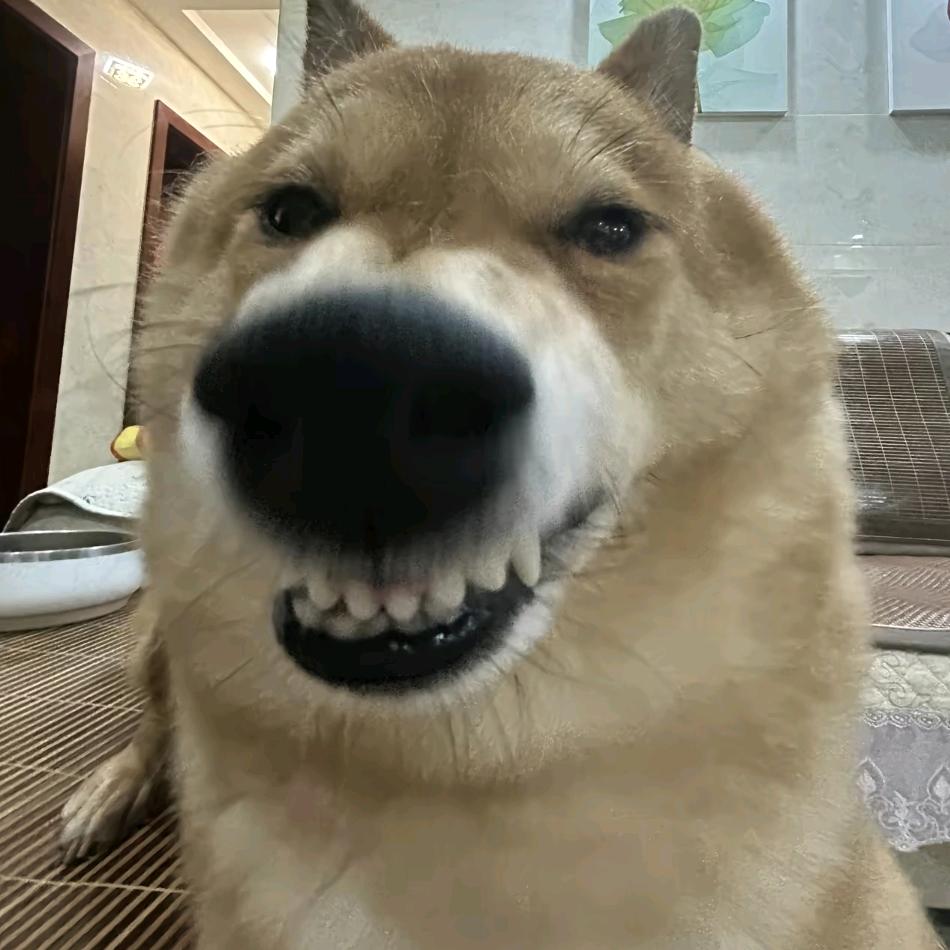wy