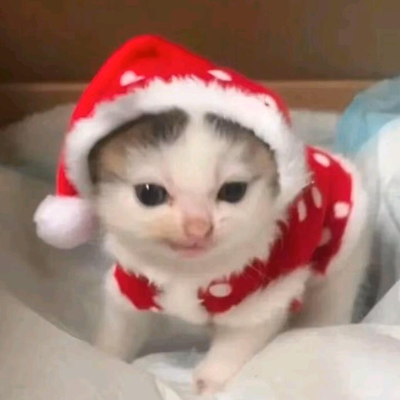 火车头