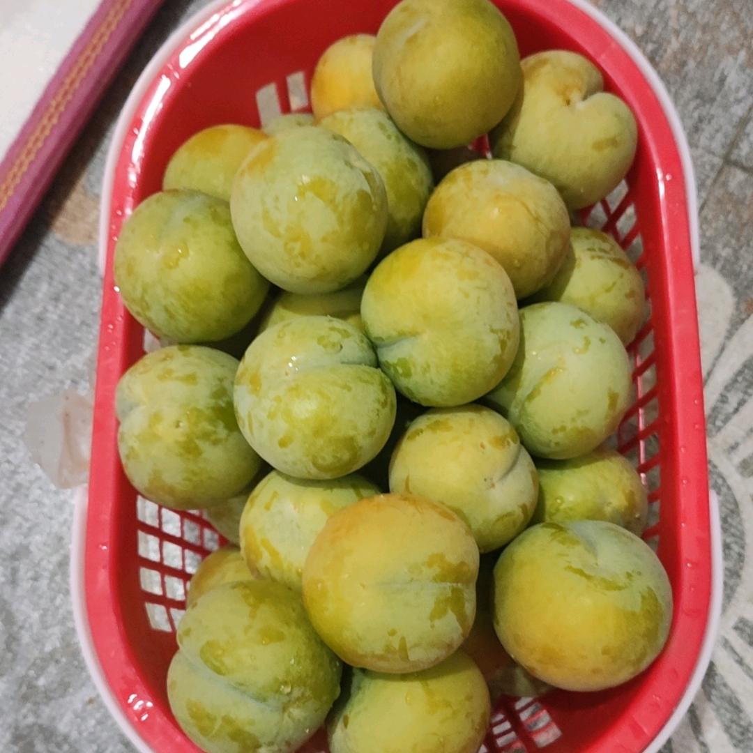 贵州～六马蜂糖李