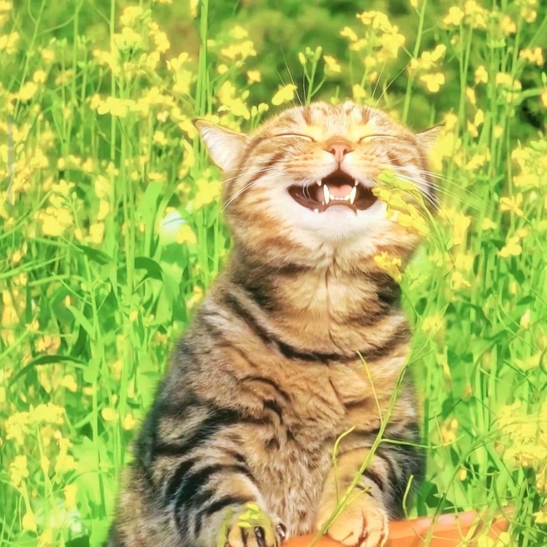 🌈空白人
