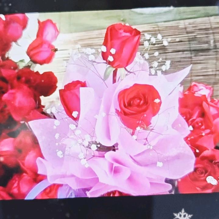 思怡
