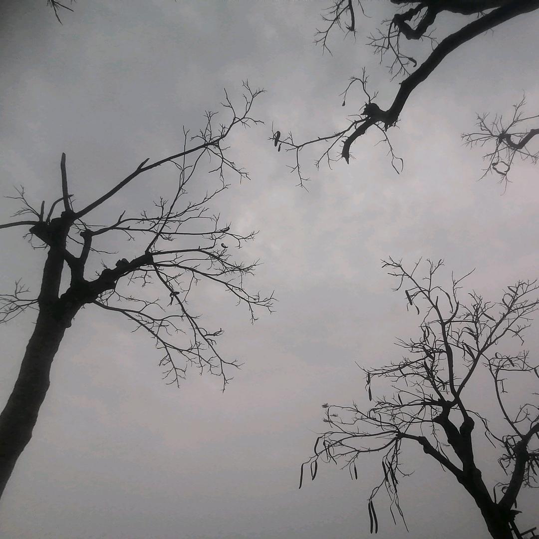 嫑忈༄༅嘦姕