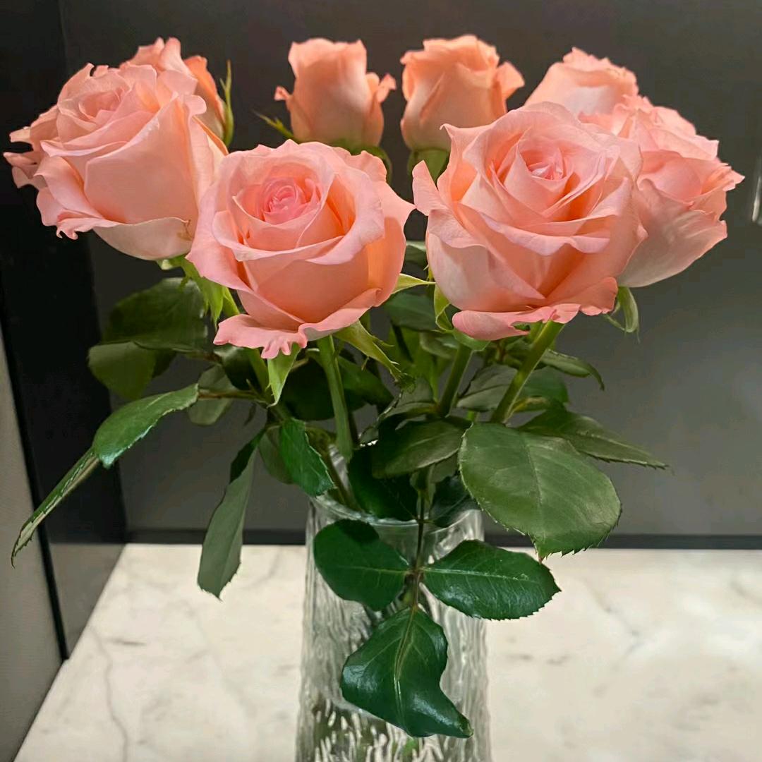 茹云鲜花
