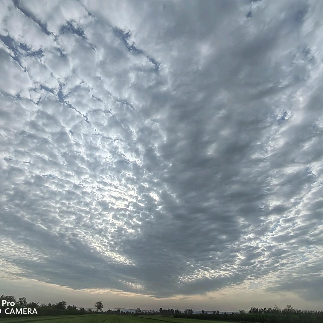 清河生产资料门市部董睿