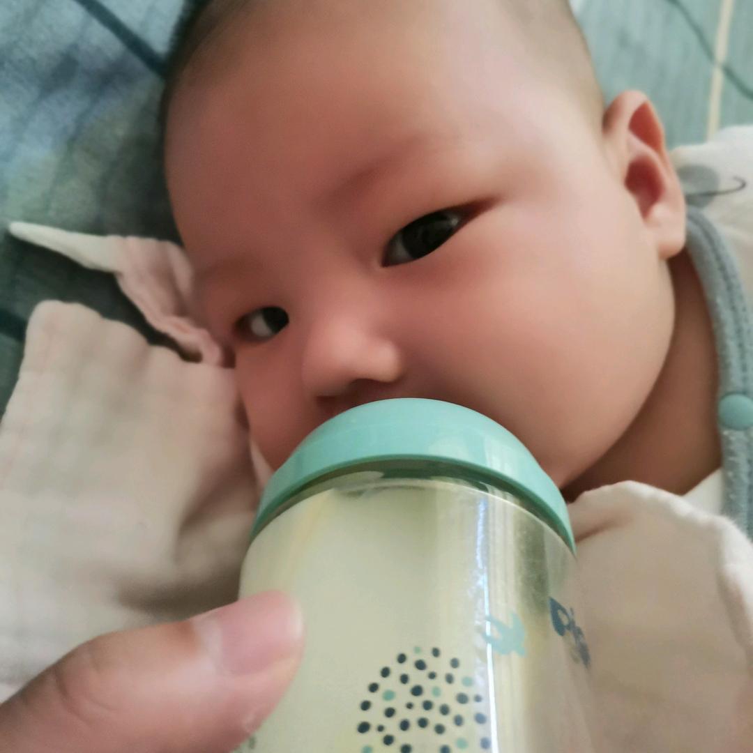 咕咕（孵蛋中）