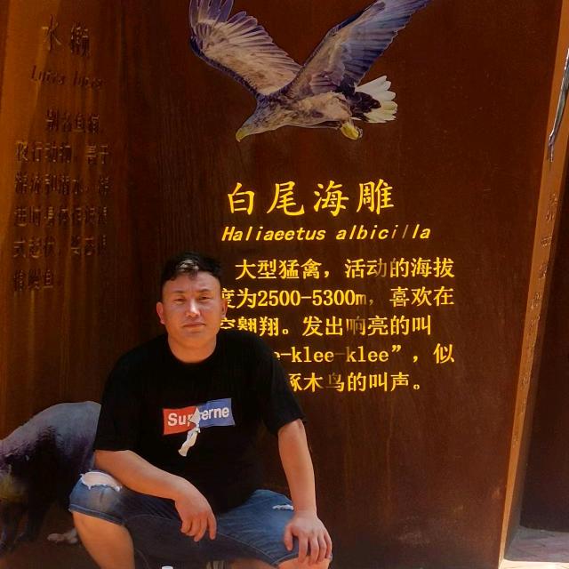 到此一游。