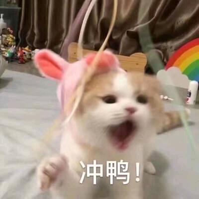 等饭来