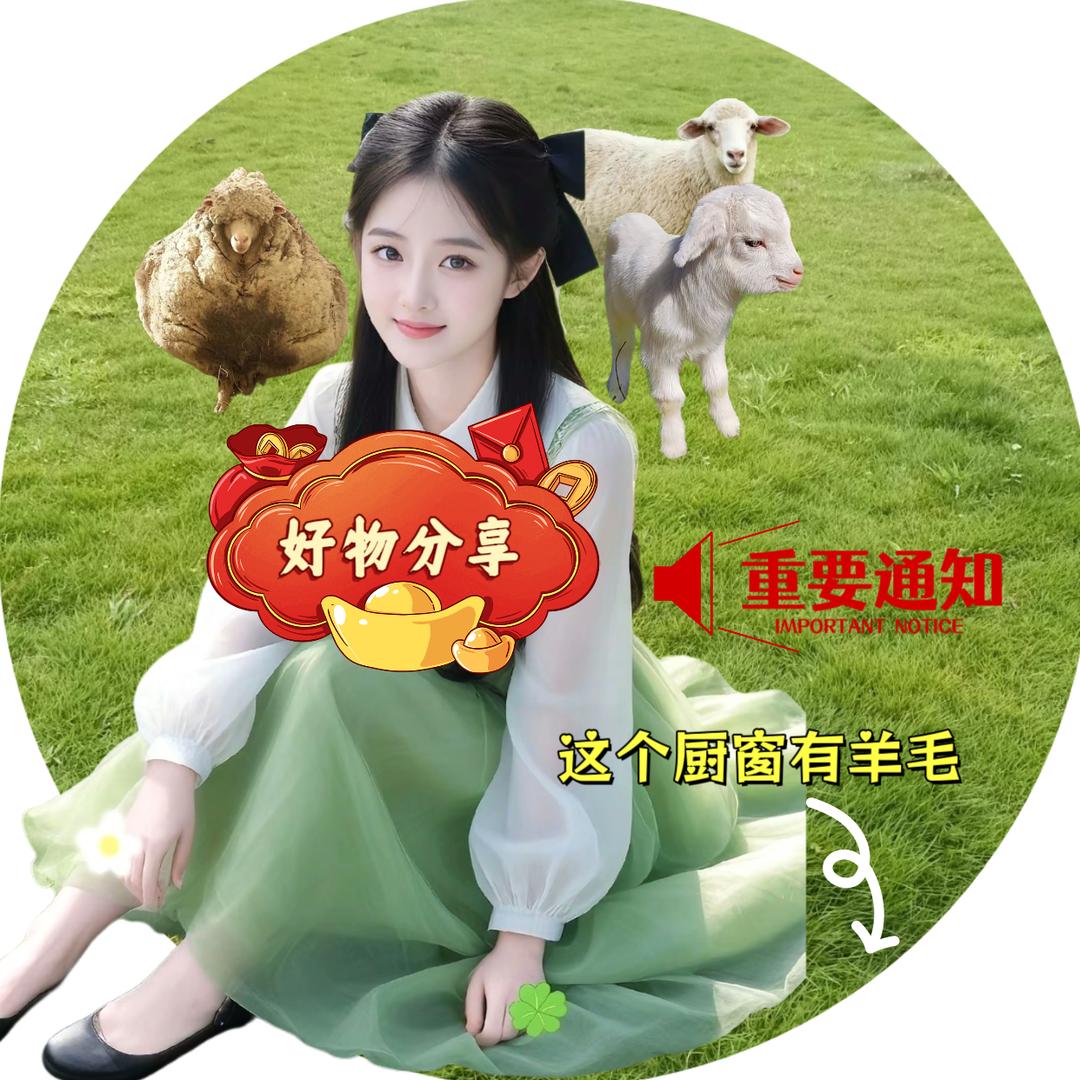 华人优选