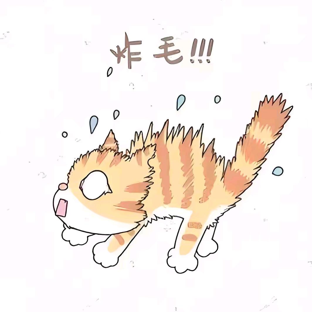 —李先森—💯