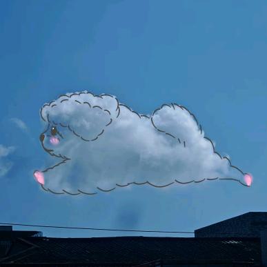 一只多多
