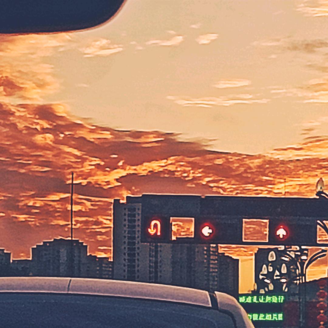 花丛豪爵杨老板