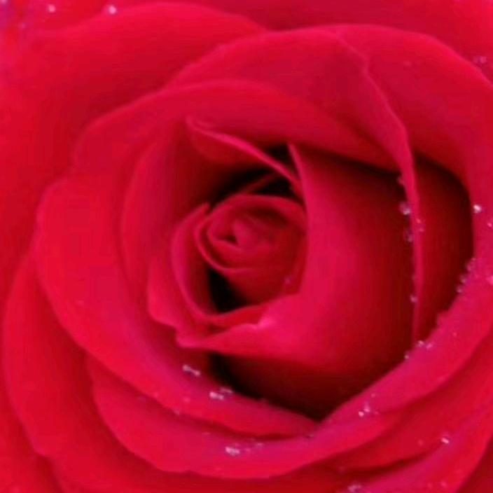 💞༊追风᭄💕💖᭄