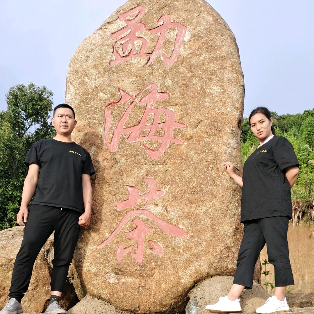 舍态古茶2431174240