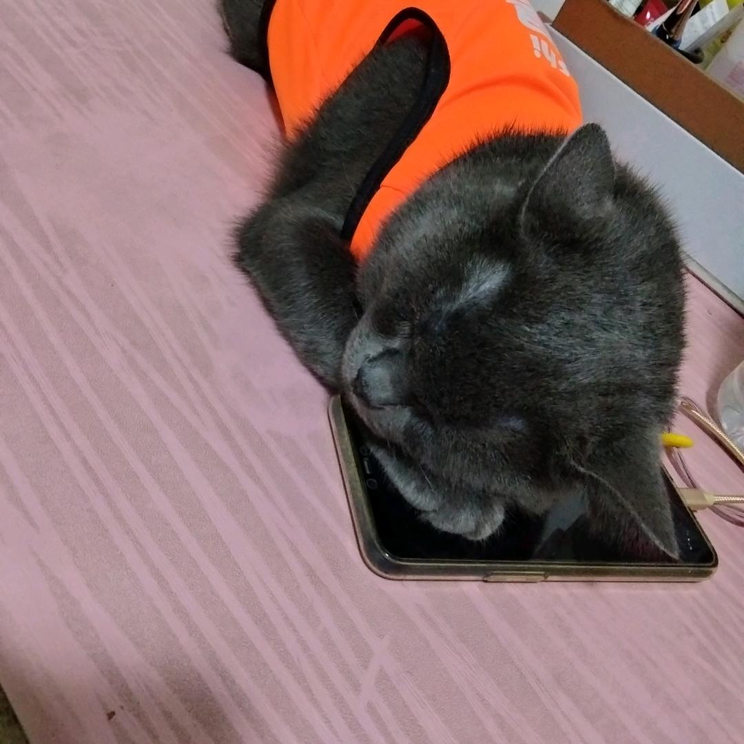 、ൢༀད༻ོ꧔ꦿ