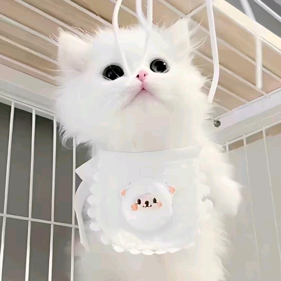 邹烈权