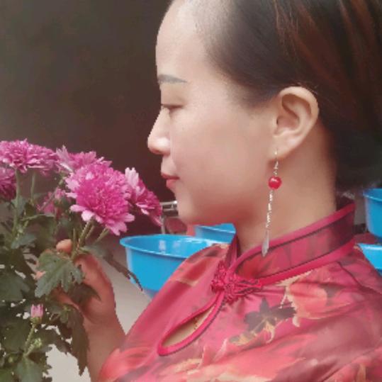 绥宁县键杨农机