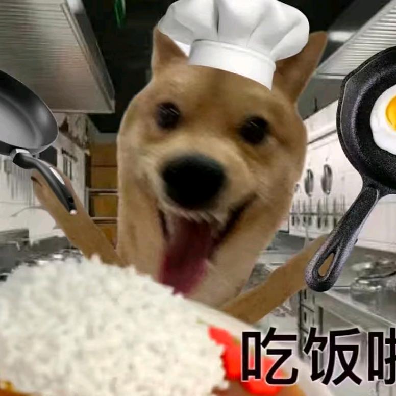 饿了就干饭