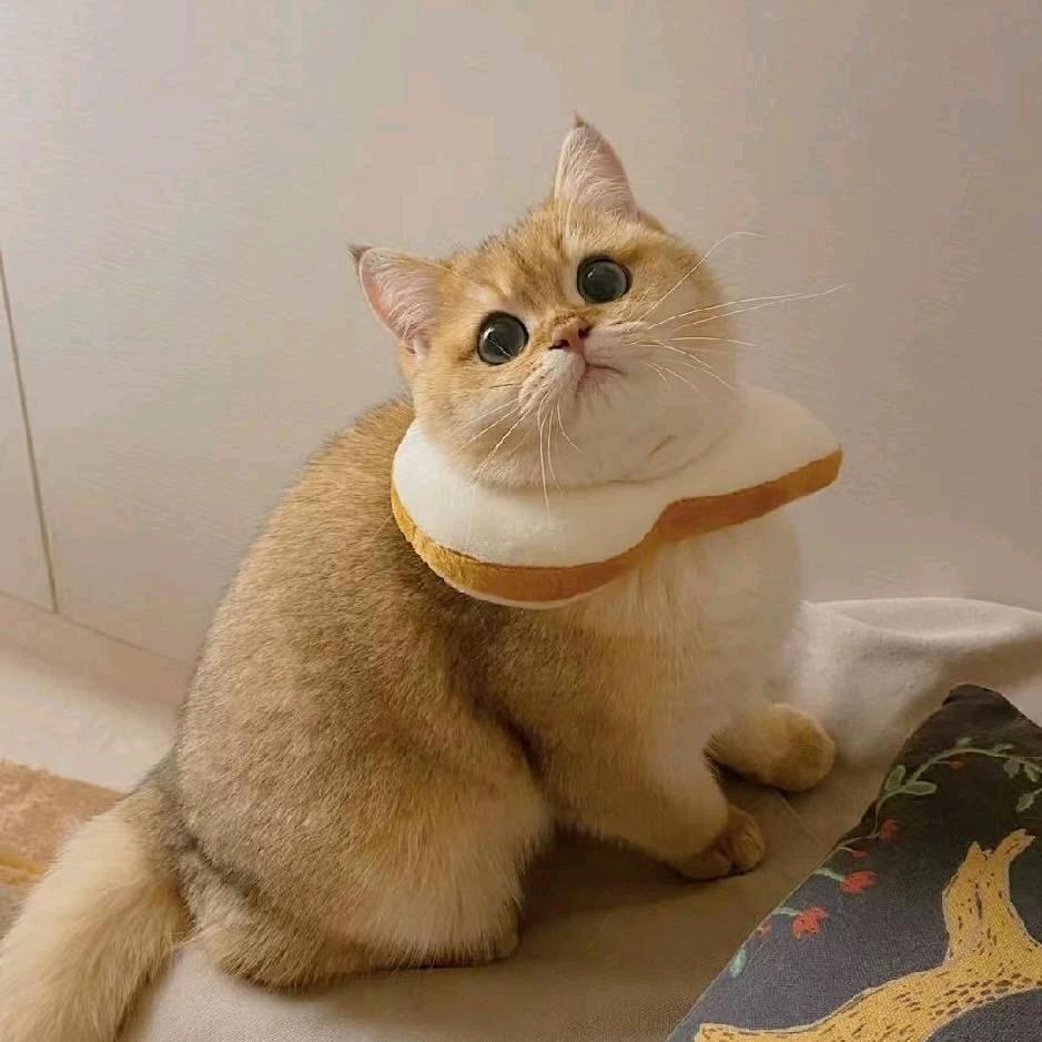 华ouo