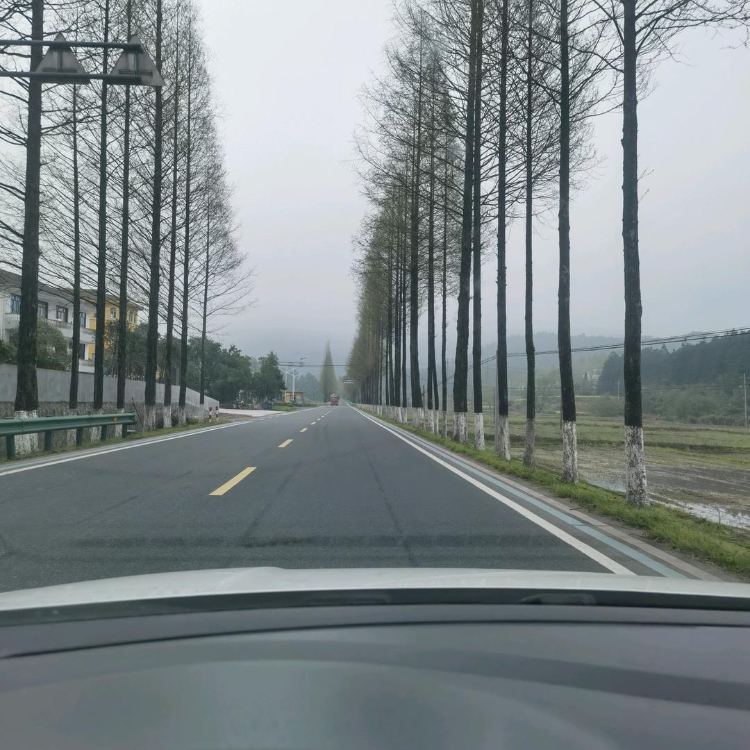 爱拼才会赢