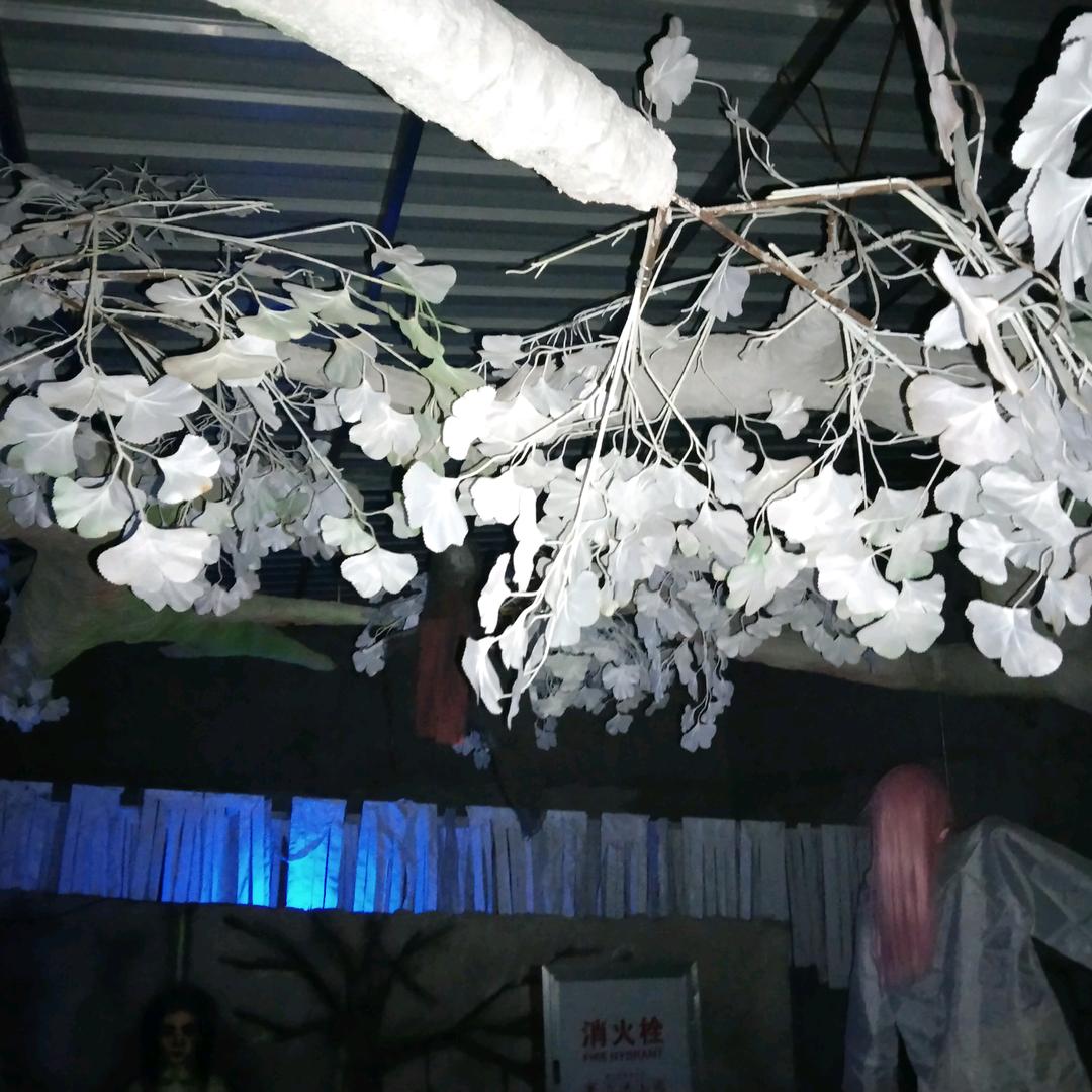 贵州祥哥