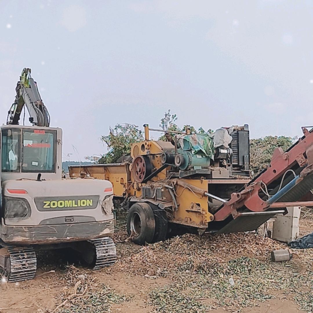 退林还耕  挖树  净地