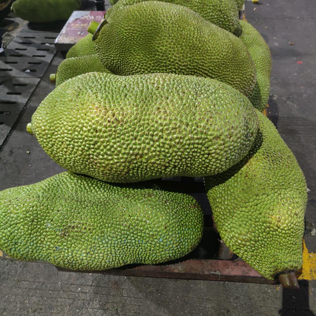 内蒙夫妇在海南