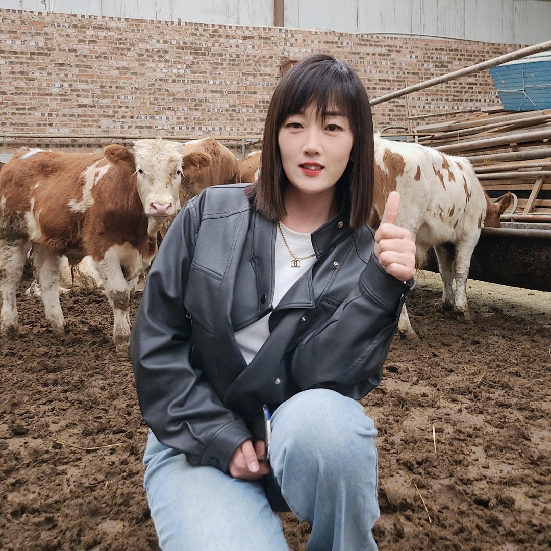牛婷婷的牛生意