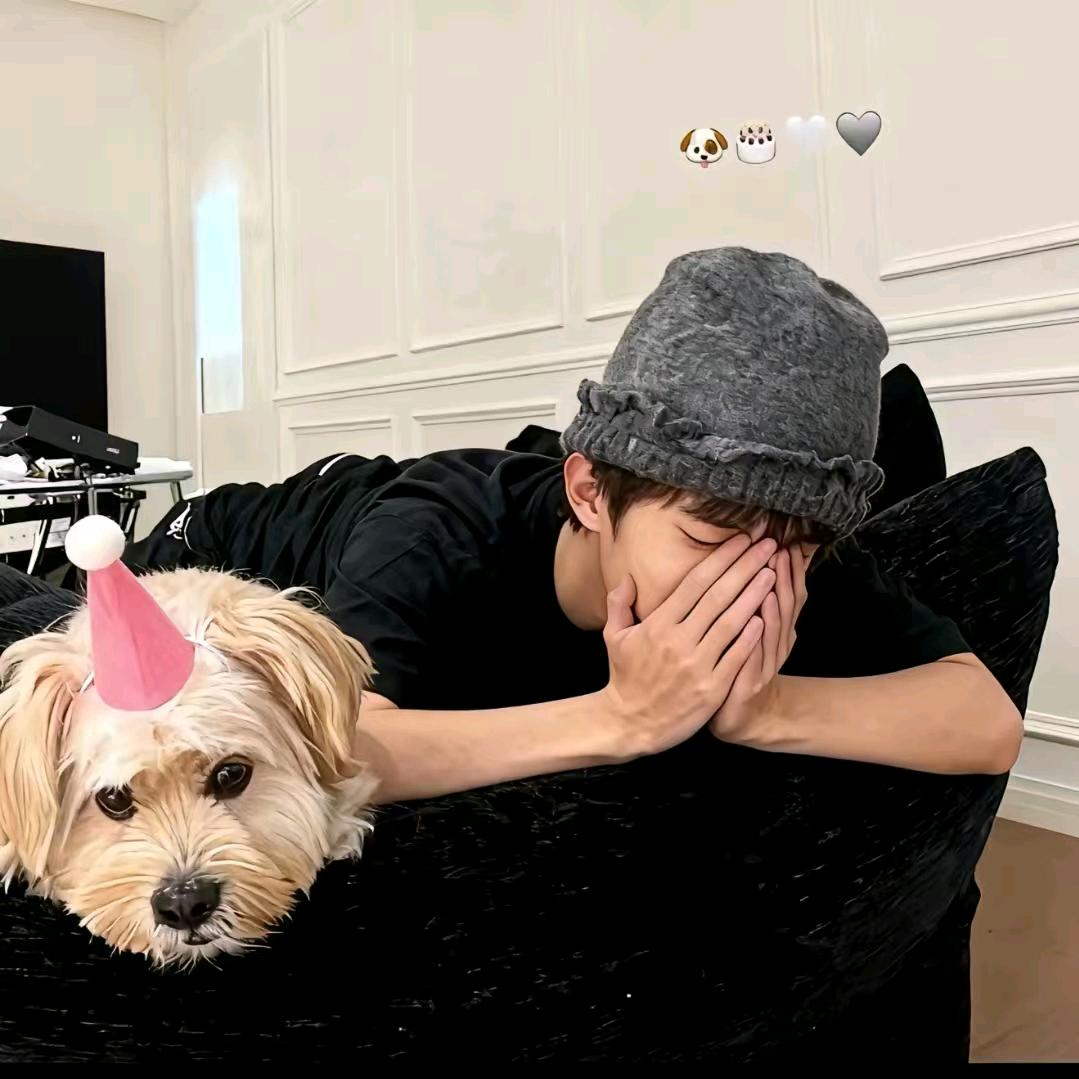 无敌霹雳闪耀飞翔大母猴