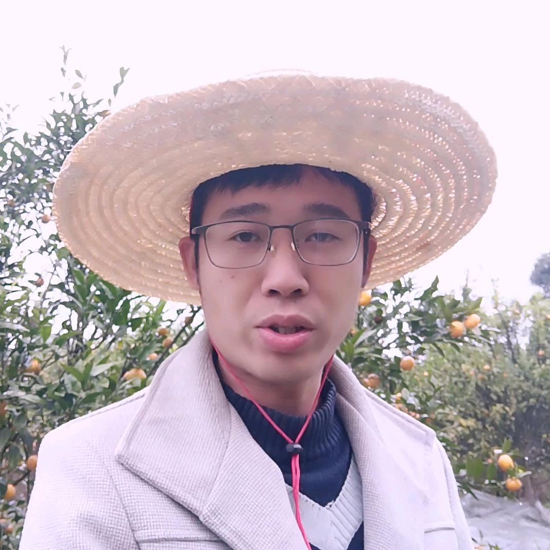 黑松土—张三方案（柑橘病虫害宝典）