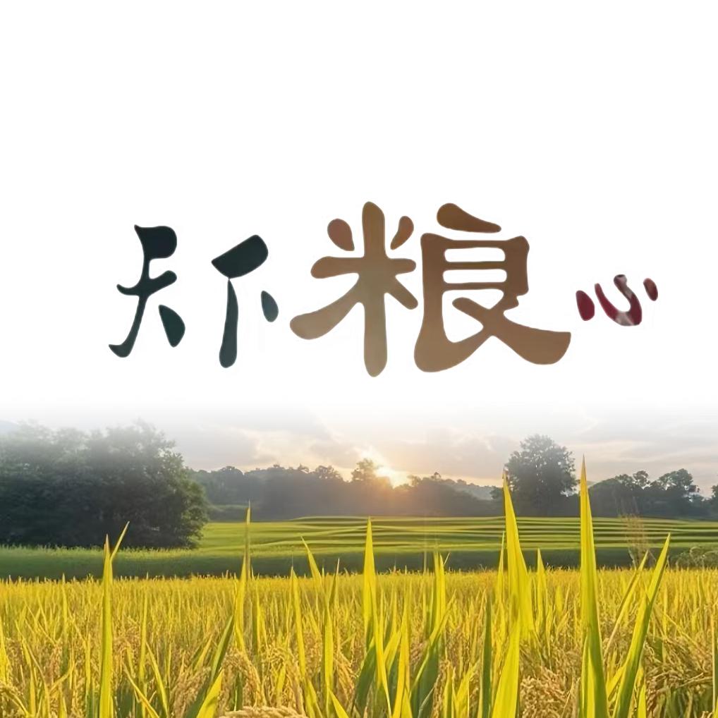王译晨