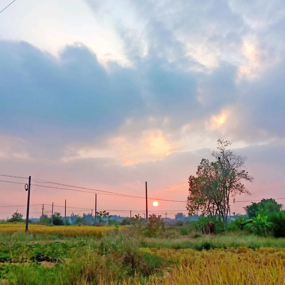 ◔.̮◔若是久长时