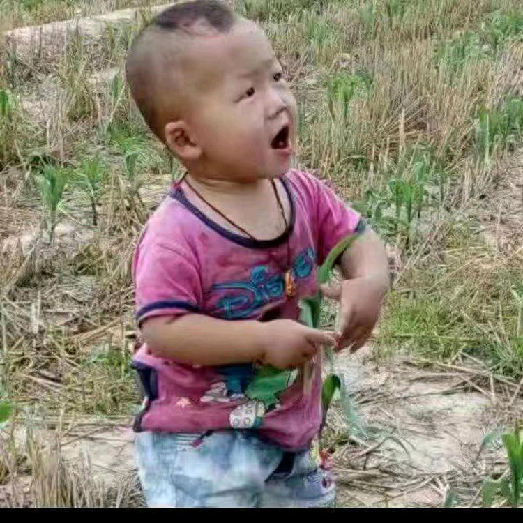 张记昊