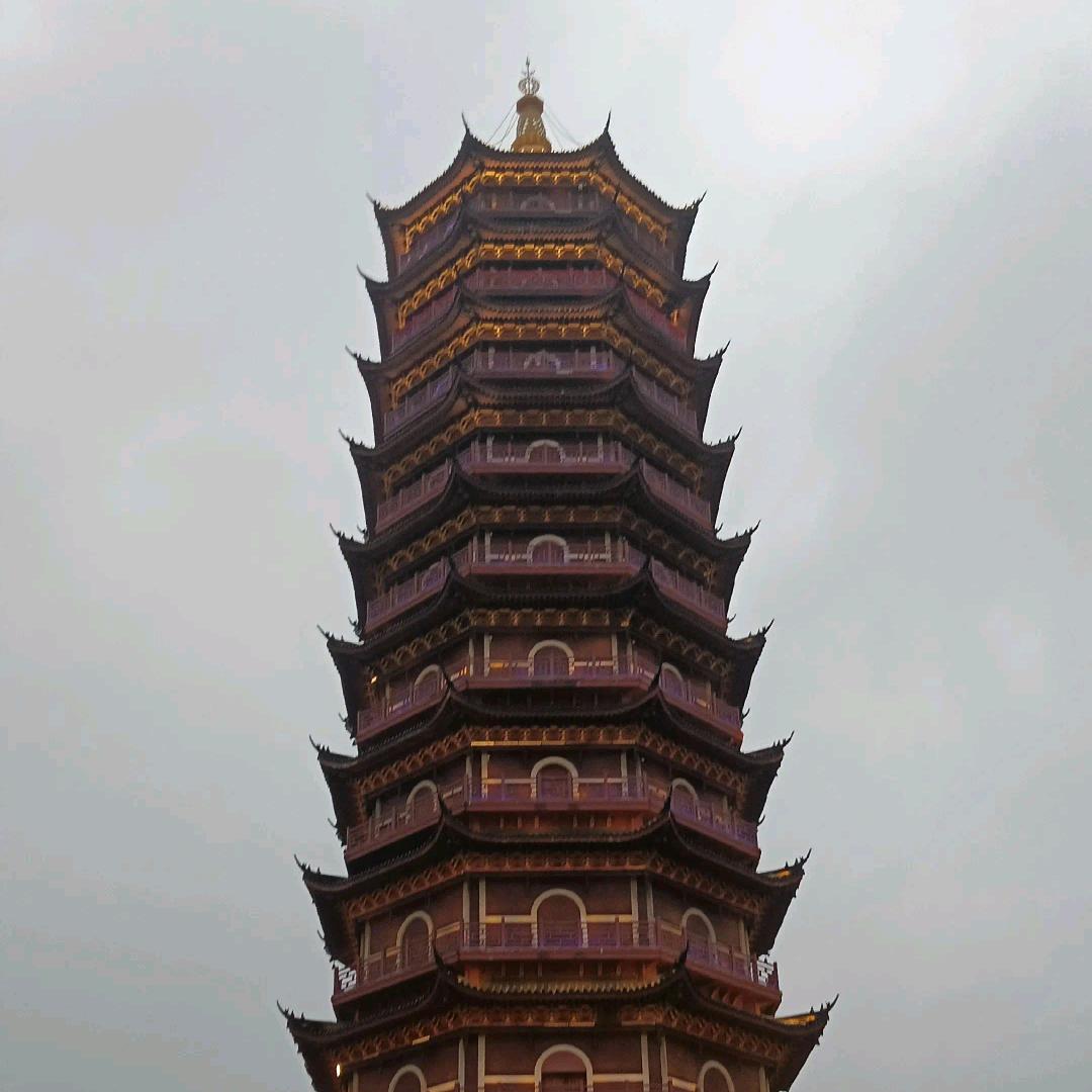 敬仰萬物
