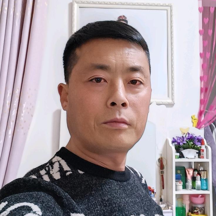 AY369小东汽车