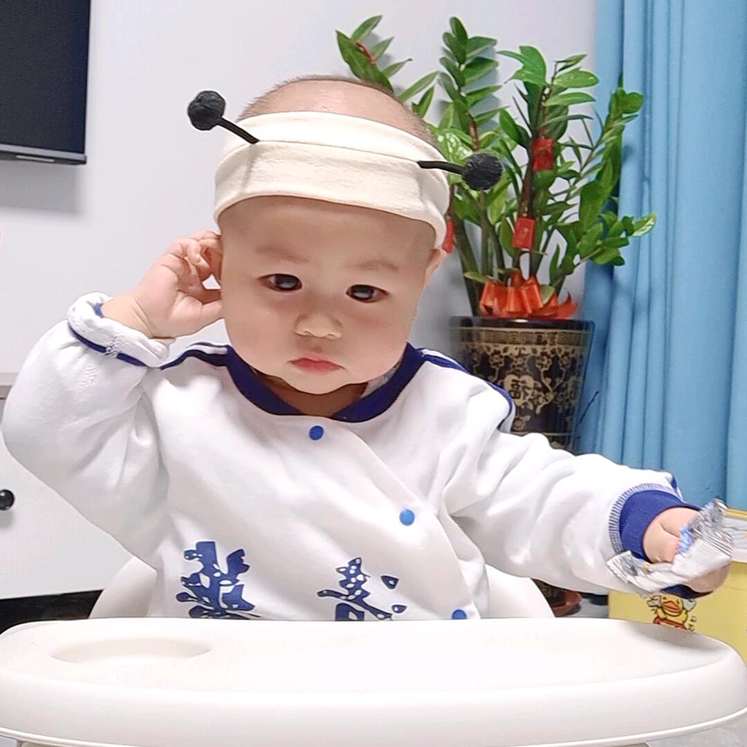 我是一只小虎仔