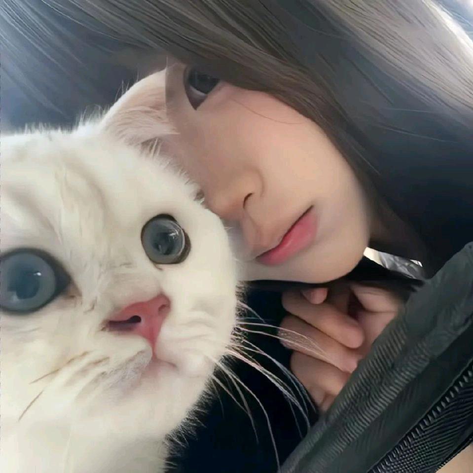 ☆ 𝙞𝙪𝙠𝙤𝙞𝟳𝟳