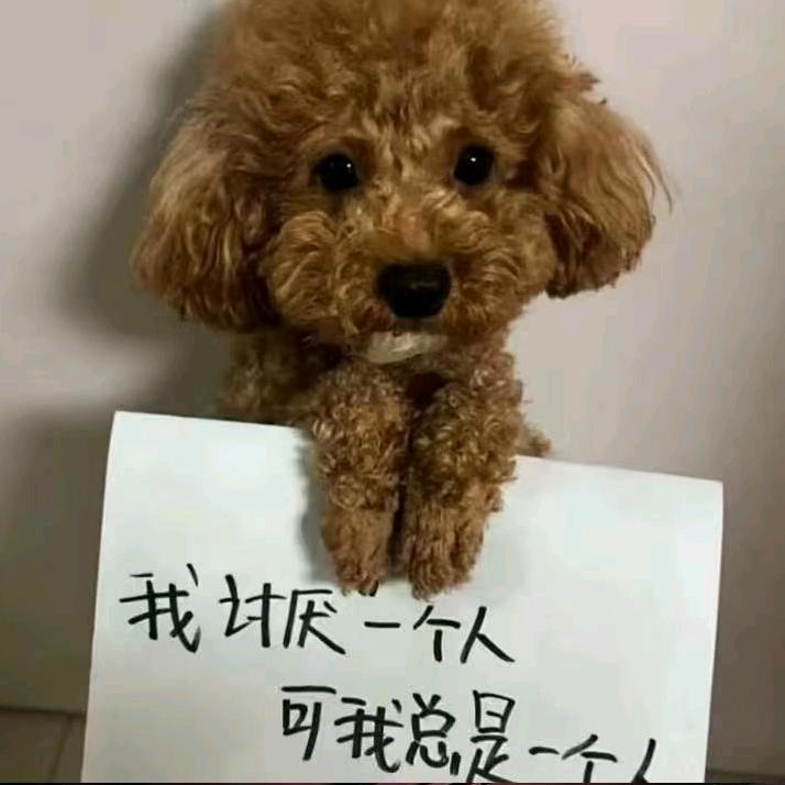 云云