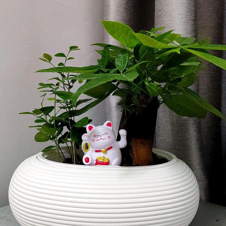 軍華