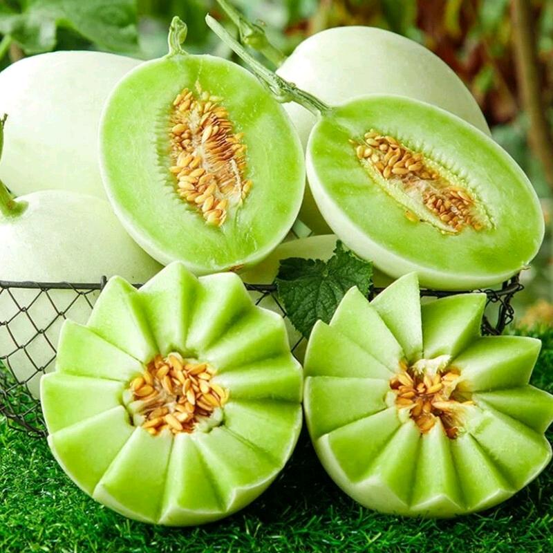 🍒午後街角🥤