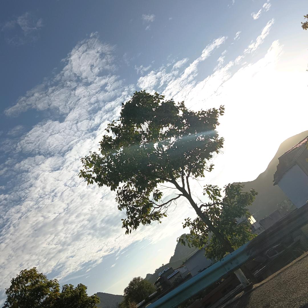 程ly