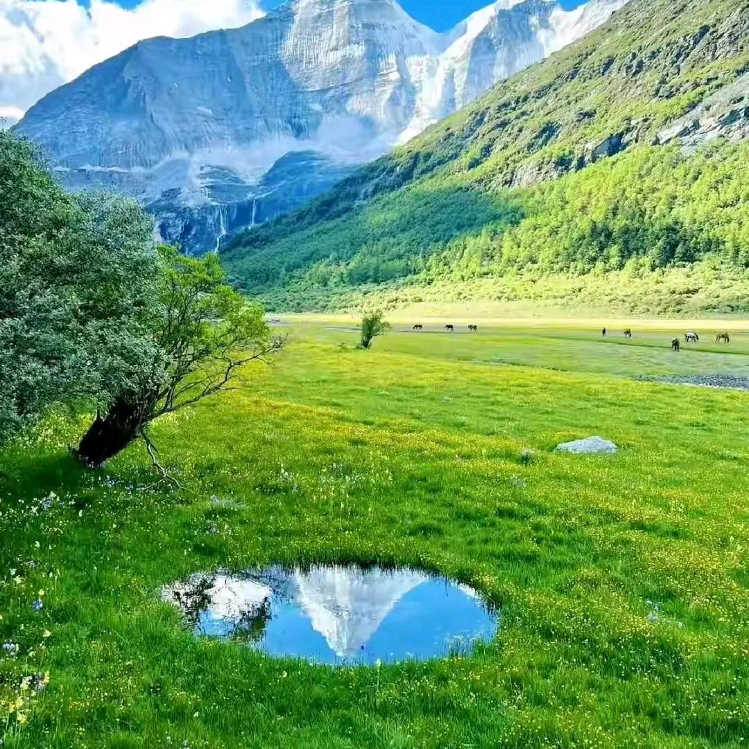 青年疗愈中心成都青城山站