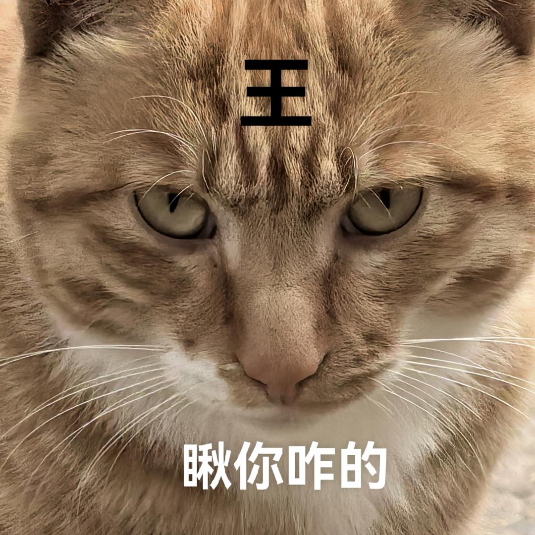 减脂瘦肉粥