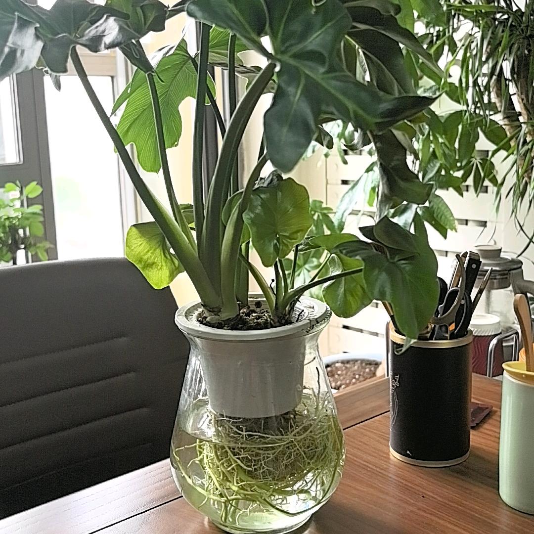 有鱼有水（北京）咨询管理有限公司
