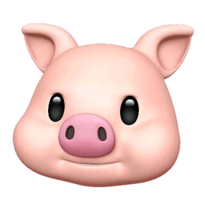 伊川县晴凯眼镜销售店