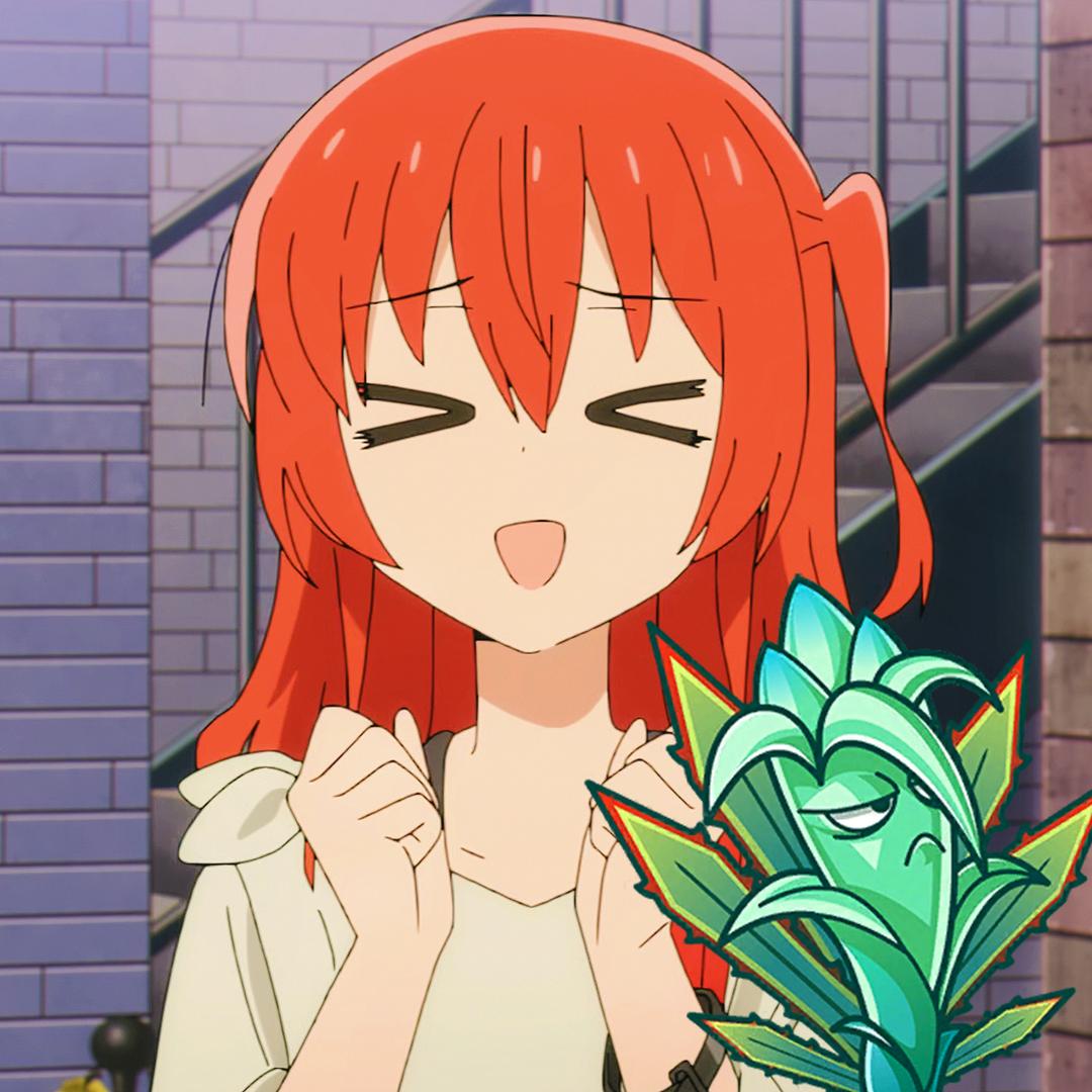 舌兰春卷Kita
