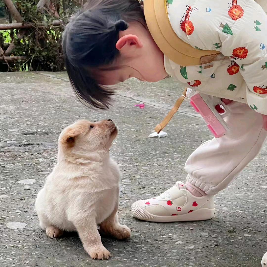 小怪兽也爱睡觉