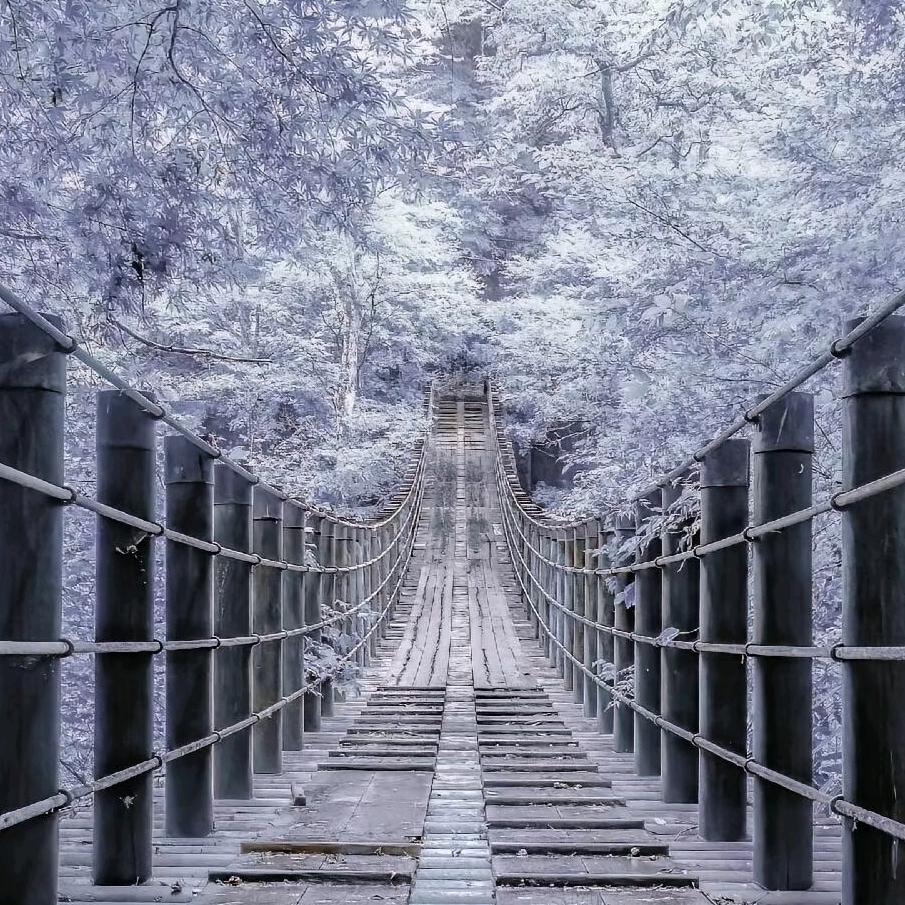 雨墨头像