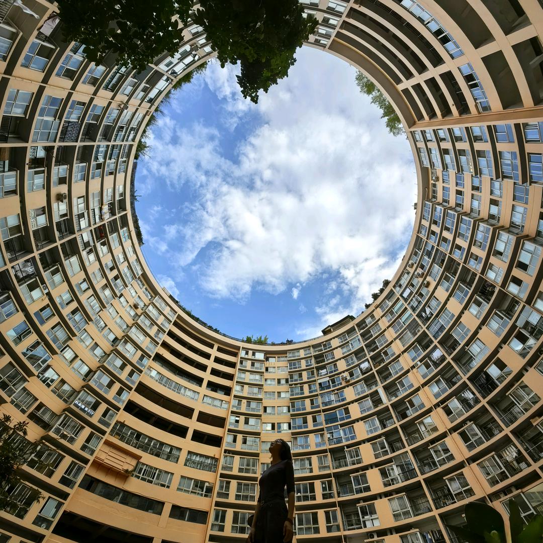 榆林树下-如梦幻泡影